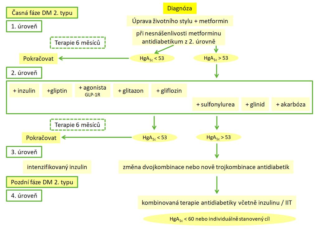 DP PÉČE O DIABETIKA 2. TYPU I u pacientů s řadou komplikujících chorob působí pozitivně také pohybová aktivita nízké intenzity (např. chůze)8.