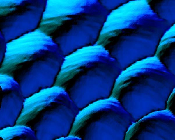 Nanometr 10-9 m (miliardtina