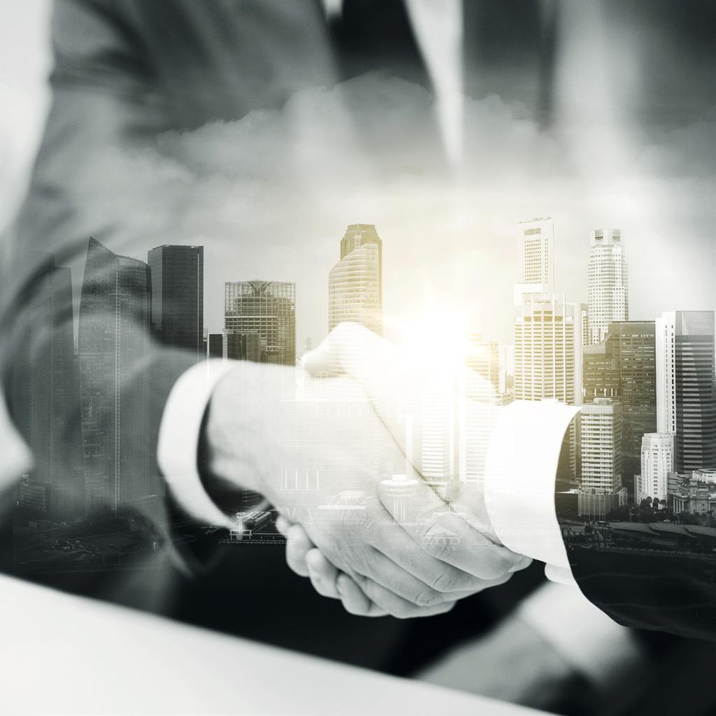 OBCHODNÍ PARTNEŘI SPOLEČNOSTI COMPANY BUSINESS PARTNERS 10 OBCHODNÍ PARTNEŘI BROKER CONSULTING Univerzálnost a objektivita finančního poradenství Broker Consulting stojí na širokém portfoliu
