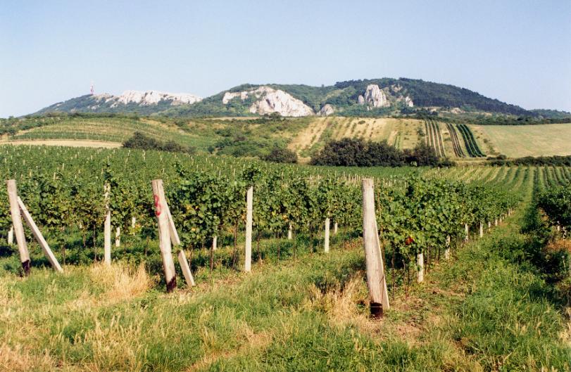 turistickém