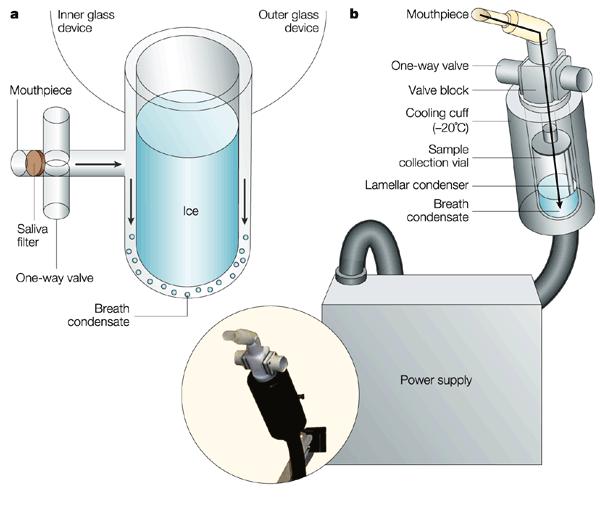 Odběr kondenzátu vydech. vzduchu (KVV) Systém pro neinvazivní sběr látek z dýchacího systému po zkapalnění zchlazením na -10 C (Jaeger).