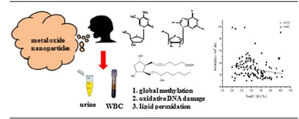 Liou 2016, 2017 Workers exposed to metal oxide nano particles oxidative stress and DNA methylation 8-OHdG v plazmě, moči, 8-isoprostan v KVV 130 zaměstnanců expozice 26xTiO 2, 31x SiO 2, 30x Indium