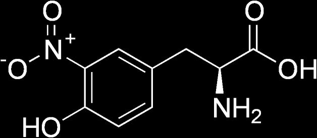 o-tyrosin (oxidace fenylalaninu)
