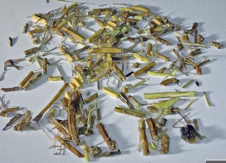 fruktan triticin, fenolické kyseliny, křemičitany, stopy silice a