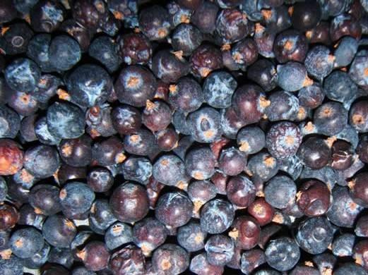 Siličná diuretika Silice působí diureticky hlavně podrážděním epitelů ledvin. Předávkování může poškodit ledviny. Juniperi fructus. Jalovcový plod Jalovec obecný. Juniperus communis, Cupresaceae.