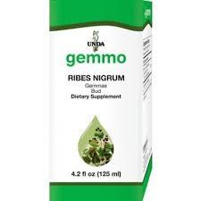 Droga: usušené listy Ribis nigri folium Ribes nigrum L.