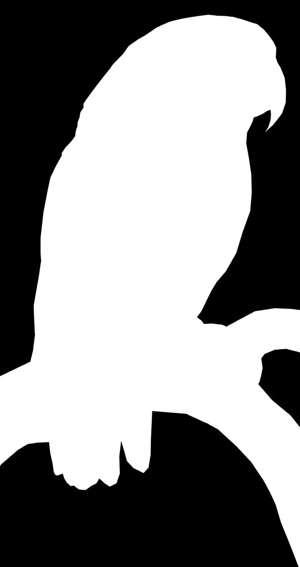 com