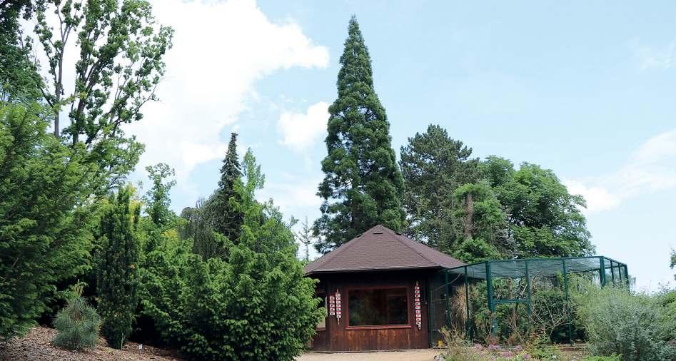 Papoušci a jejich chov Text: Milena Vaňková, Milan Hřebík Foto: archiv ZOO Plzeň v ZOO Plzeň Další zoologickou zahradou, ze které přinášíme malou reportáž, je