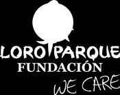 Parque Fundación: