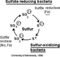 sloučeniny obsahující síru ve vyšším oxidačním stupni