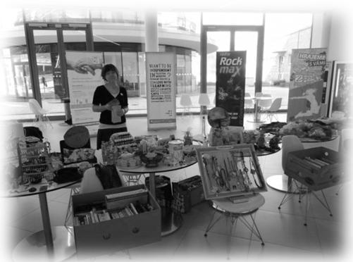 DOBROČINNÝ BAZAR Tradiční akcí, kterou pořádá Fakulta humanitních studií Tomáše Bati a Dotek, o.p.s., se stal Dobročinný bazar.