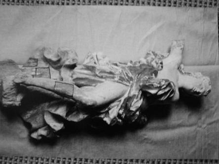 Jednalo se rovněž o lazurovací lak na bázi kopolymeru 2-hydroxyethyl-methakrylátu s kyselinou methakrylovou. Lak byl použit ke zpevnění archeologického dřeva.