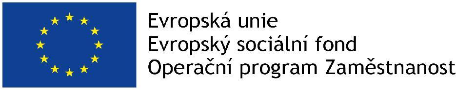 Analýza pro tvorbu lokální Koncepce sociálního bydlení v Chomutově VYSOKÁ ŠKOLA FINANČNÍ A SPRÁVNÍ, A.S., PIONÝRŮ 2806, MOST Mgr.