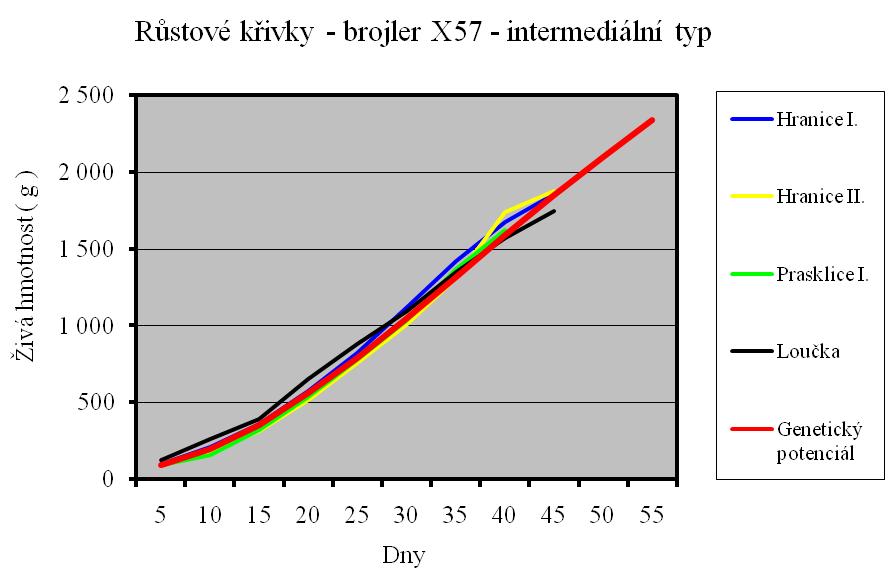 Graf č. 3 Růstová křivka brojler X 57 5.1.4 Vyhodnocení poráţky Na jednotlivých porážkách bylo, i přes horší podmínky výkrmu, dosaženo výborného zatřídění s minimálním množstvím konfiskátů a ořezu.