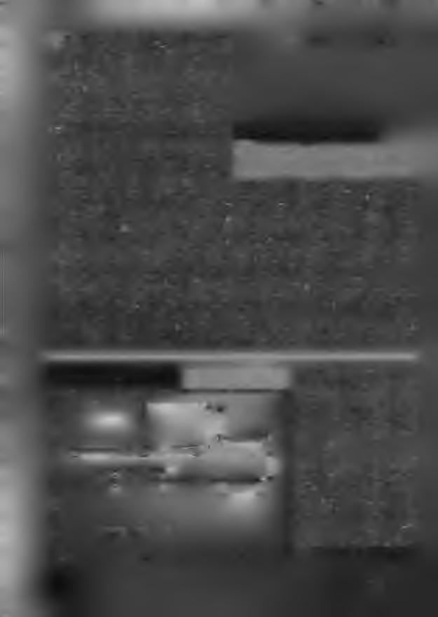 roce 1951 jsme v našem klubu v Kamenných Žehrovicích měli V několik typů velmi dobrých větroňů: Dožívala Káňata, ale létali jsme i s vynikajícími Luňáky o rozpětí 2,20 m, s nímž například Jan Cimbura