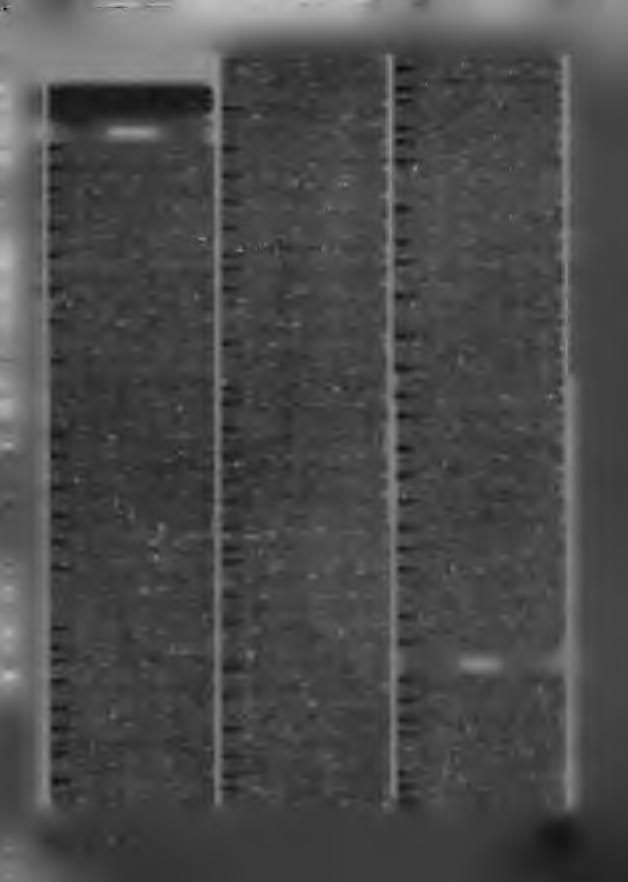 ř - cjøfflømøciø so Inzerci přijímá Vydavatelství Naše vojsko, inzertní oddélení (inzerce Modelář), Vladislavova 26, 113 66 Praha 1; telefon 26 15 51, linka 294 PRODEJ 1 RC větroň o roz.