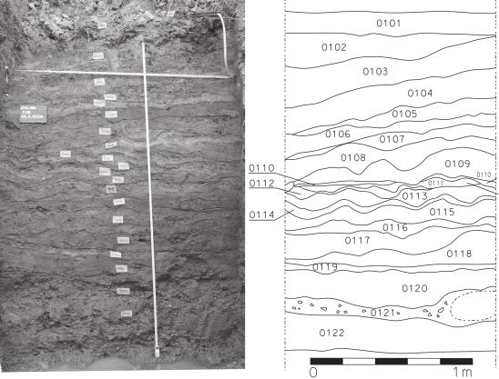 Terénní archeologická situace profilů na Koželužském potoce Vrstva 119: Světlý šedožlutý křemičitý písek, velikost zrn od střední zrnitosti až po štěrk.