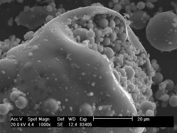 Obrázek 2 - SEM snímek vysokoteplotního popílku, zvětšení 1000x Obrázek 3 - SEM snímek vysokoteplotního popílku, zvětšení 1000x Chemické složení popílků: aluminy (Al 2 O 3, Fe 2 O 3 ), spinely (MeO