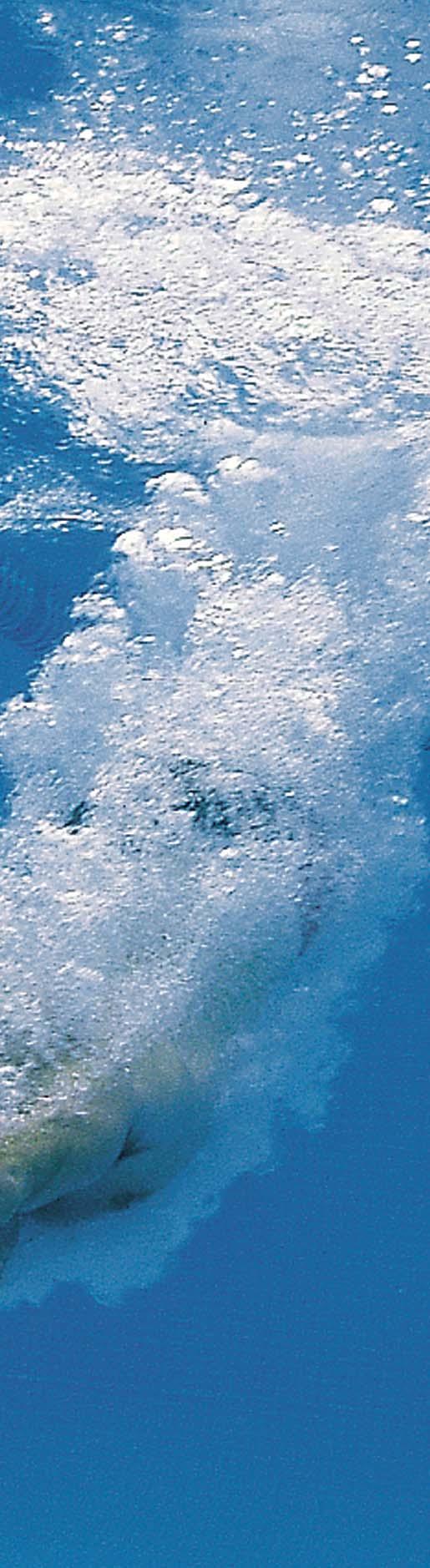 FILTRAČNÍ ZAŘÍZENÍ 124 Pískové filtry plastové, filtrační monobloky 126 Filtr NanoFiber 127 Pískové filtry plastové, filtrační monobloky a sady 132 Pískové filtry nerezové 132 Pískové filtry