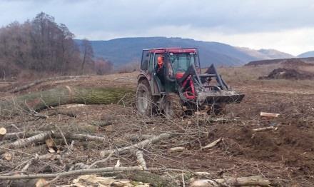 Zajišťujeme služby od kácení stromů a jejich zpracování až po rekultivaci plochy a náhradní výsadbu.