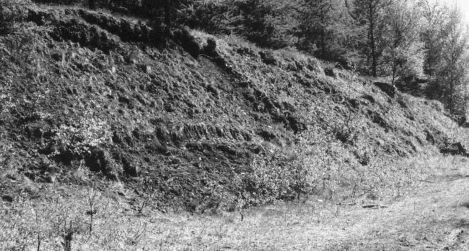 historický název skalice, blíže určené např. barvou zelená (FeSO 4.7H 2 O), modrá (CuSO 4.5H 2 O), bílá (ZnSO 4.7H 2 O). V němčině se dodnes udržel původní význam, např.