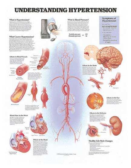 Arteriální hypertenze a poškození