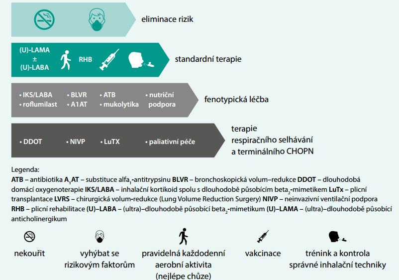 5.4 Prevence Poměrně spolehlivou ochranou před vznikem CHOPN je nekuřáctví, zdravý životní styl s dostatkem pohybu, pobyt mimo znečištěné ovzduší a také prevence infekcí a pasivního kouření v dětském