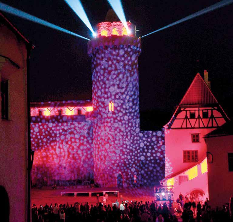 SRPEN 2017 MĚSÍČNÍK ROČNÍK XIX. NEPRODEJNÉ WWW.STRAKONICE.EU ZPRAVODAJ@MU ST.CZ Oslavy 650 let města Strakonice 25. 27. 8.