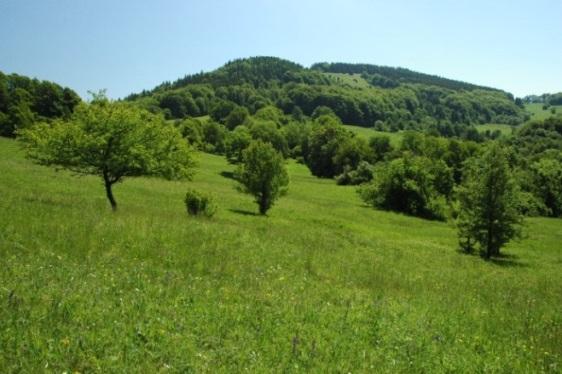 Posouzení vlivu koncepce Zásady územního rozvoje Olomouckého kraje aktualizace č. 2a na evropsky významné lokality a ptačí oblasti podle 45i zákona č.