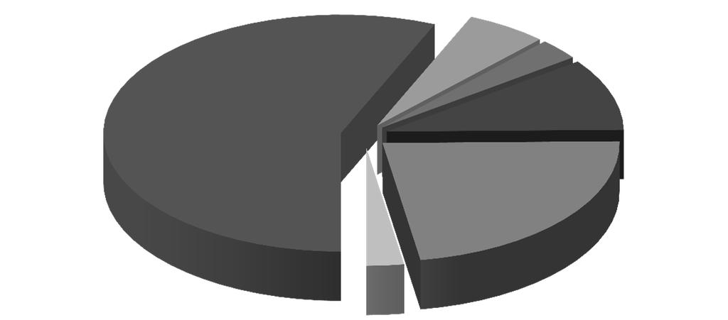 STRUKTURA NOVĚ PŘIZNANÝCH DŮCHODŮ V ROCE 2017 Graf č. 4.3 invalidní III. stupně 5,6% starobní 56,5% invalidní II. stupně 2,9% invalidní I.