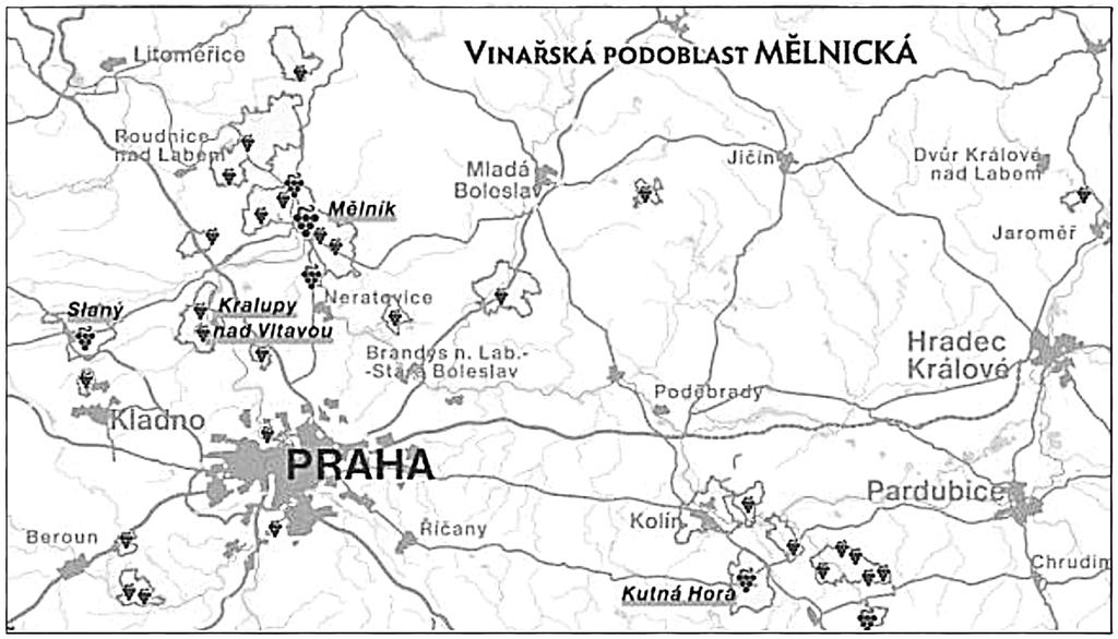 Tehdy bylo nejvíce vinic v Praze a okolí, v Mělníku, Litoměřicích, Mostě a v Lounech. Iniciátorem rozvoje českého se stal císař Karel IV.