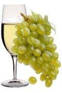 ZNALOST A OBLIBA ODRŮD BÍLÉHO VÍNA Znalost odrůd Nejznámější odrůdami bílého vína jsou Müller Thurgau, Rulandské bílé, Veltlínské zelené a Ryzlink vlašský.