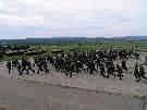 mb, 80 ks techniky FORT PRIBINA