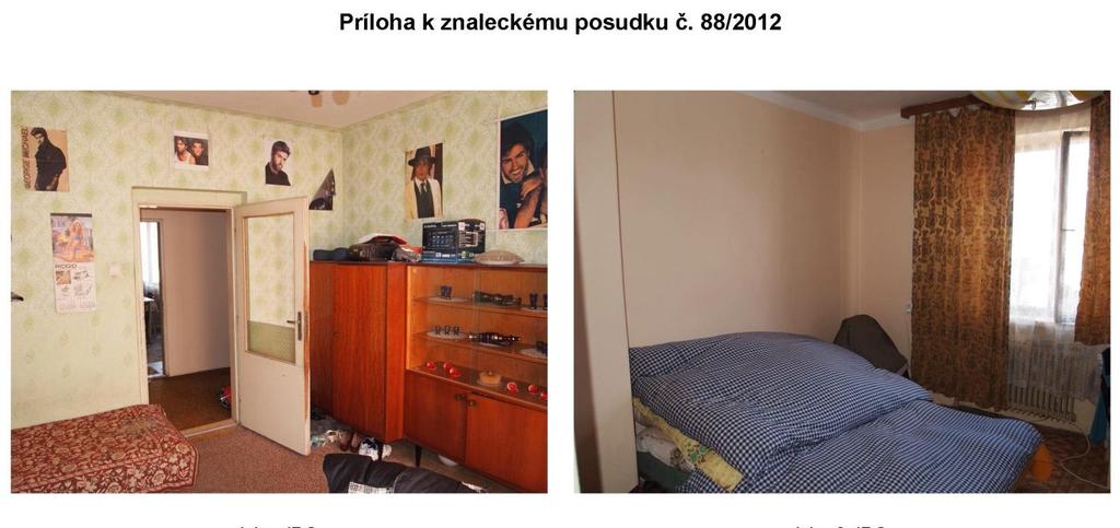 Ing. Igor