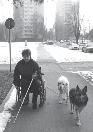 Krajské středisko Zlín Děkujeme za dobrou spolupráci Krajskému úřadu Zlínského kraje a Zlínskému kraji; městským úřadům a obecním úřadům ve Zlínském kraji; všem očním lékařům a oftalmologům