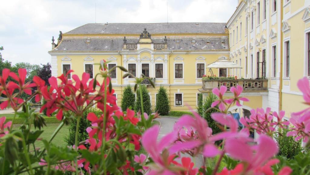 Vážení a milí, léto budiž pochváleno. Medard svůj svátek sice již dávno oslavil, ale ne a ne pořádně zapršet.