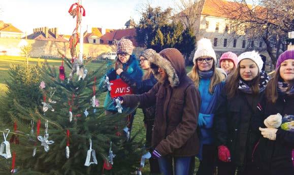 Soutěží se ve třech kategoriích MŠ a ZŠ, organizace a spolky, jednotlivci. Zúčastněné třídy vlastnoručně vyrobenými vánočními ozdobami vyzdobily přidělený stromeček a označily ho pořadovým číslem.