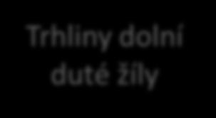 duté žíly