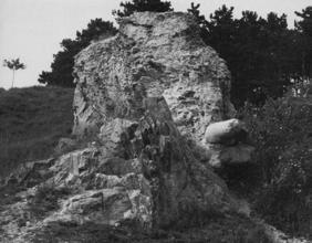 Českém středohoří. Foto J. Svoboda. Obr. 6.4.