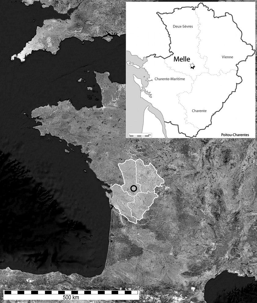 Hornická činnost