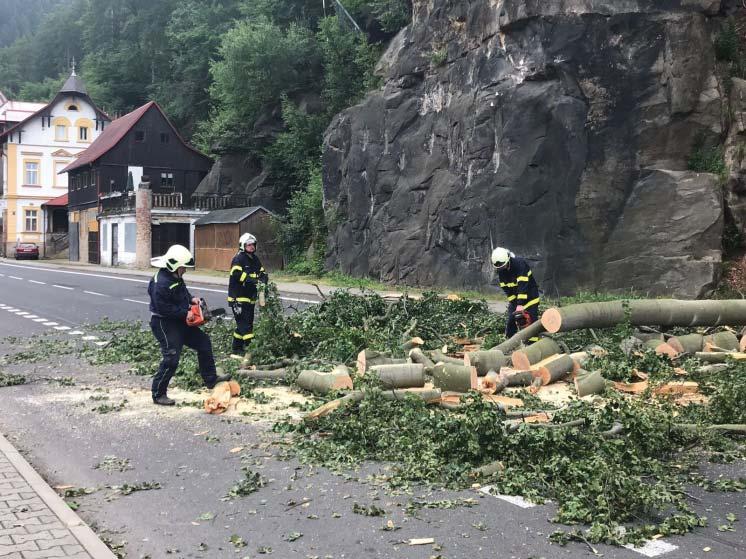 mohutnému stromu, který se rozlomil a dopadl na silnici vedoucí