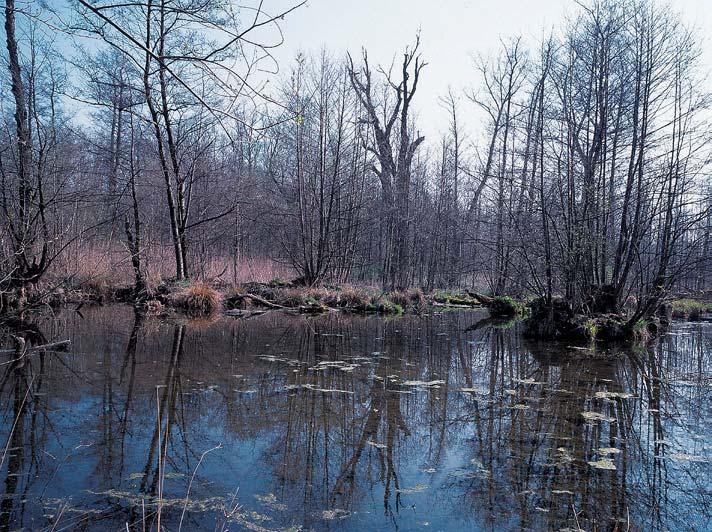 Ústecko GEOLOGIE PodloÏí tvofií druhohorní pfieváïné slínité sedimenty ãeské kfiídové pánve.