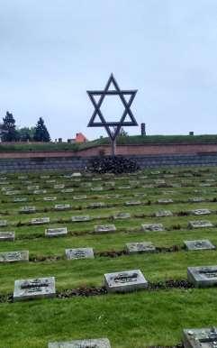 Terezín V Terezíně jsme navštívili malou pevnost, kde jsme se dozvěděli spoustu věcí. Průvodce nám tam ukázal, kde se třeba spalo, sprchovalo, pralo prádlo aj.