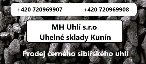 Bronzové medaile a poháry za třetí místa tentokrát bralo šest závišických benjamínků.