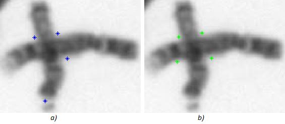 Přes tvarovou rozmanitost chromozomů je automatická detekce těchto bodů většinou účinná.