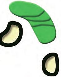158 144 257 221 166