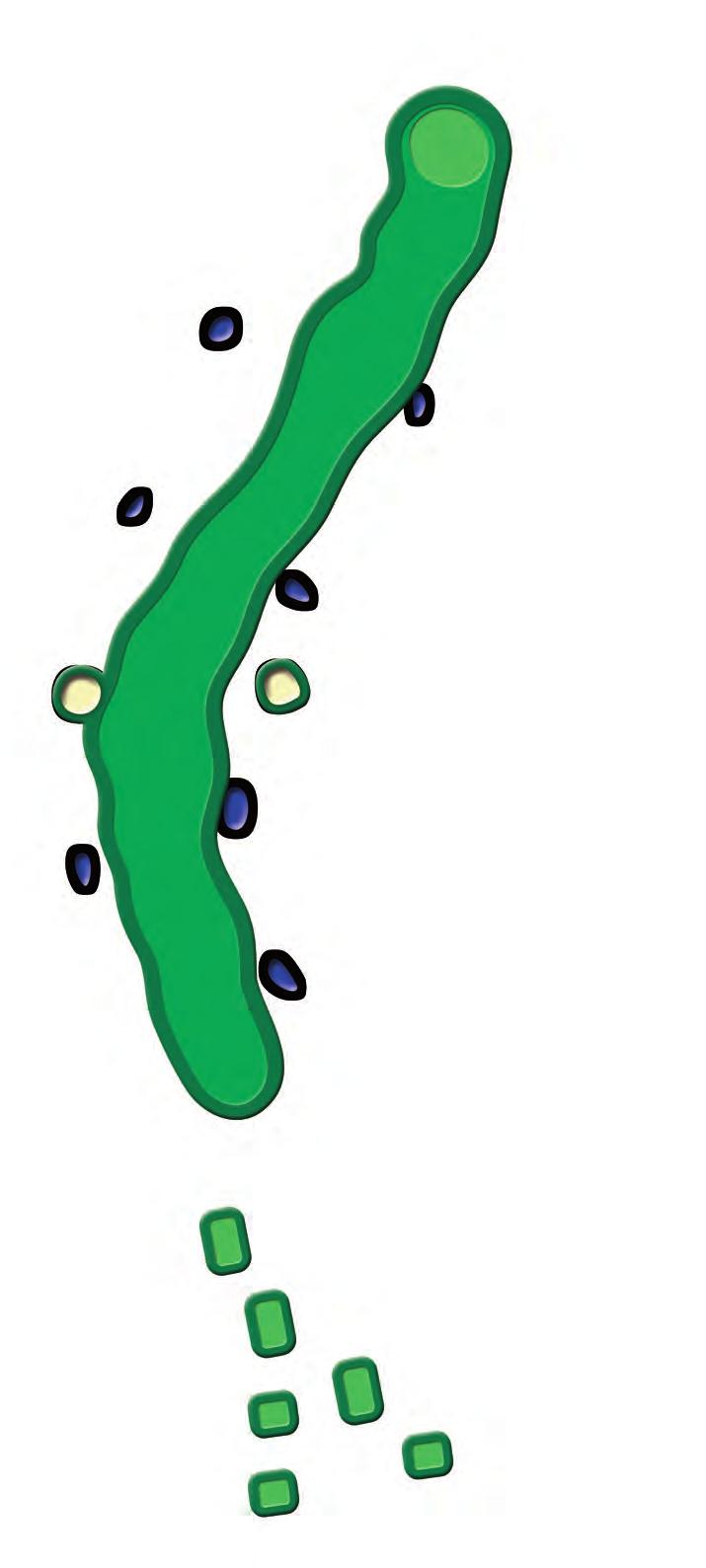 25 25 23 66