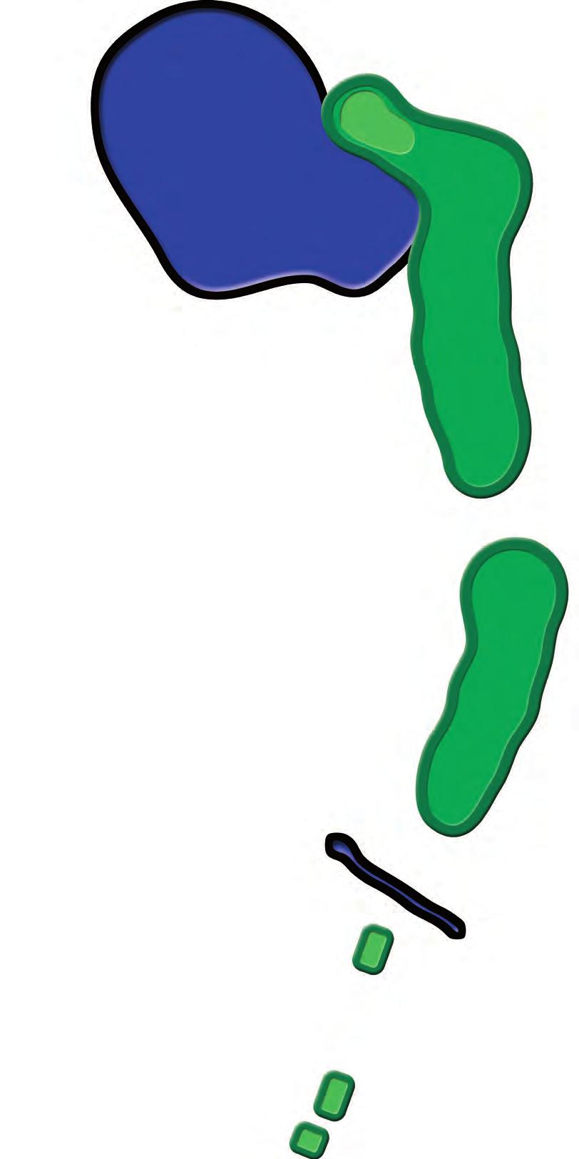 43 33 31