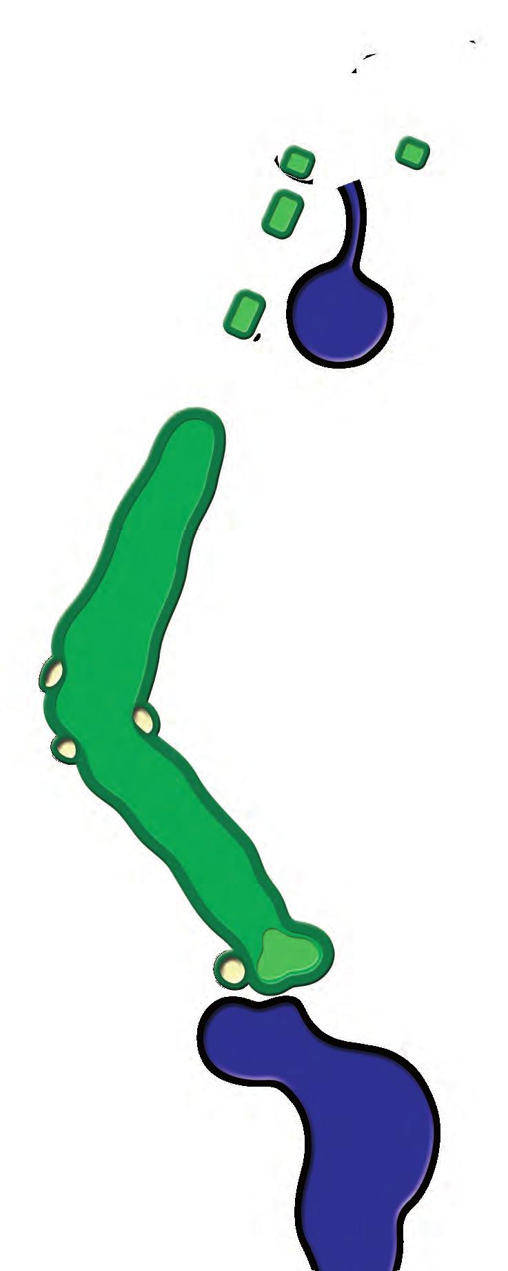 224 186