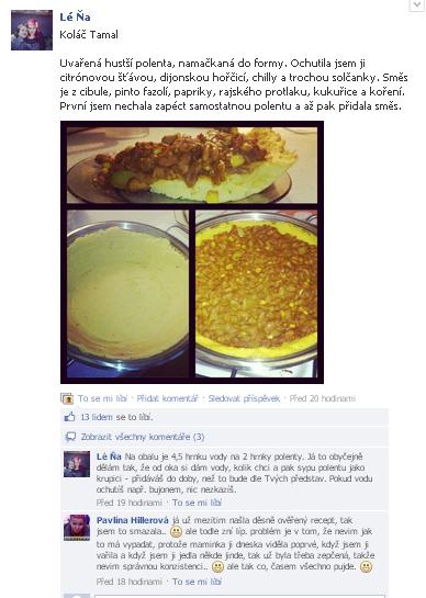 Výsledky výzkumu: Zvol si mou cestu! Obrázek 7. Veganská kuchařka na Facebooku. Zdroj: http://www.facebook.